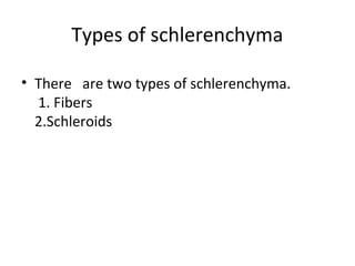 Types of schlerenchyma
• There are two types of schlerenchyma.
1. Fibers
2.Schleroids