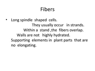 Fibers
• Long spindle shaped cells.
They usually occur in strands.
Within a stand ,the fibers overlap.
Walls are not highly hydrated.
Supporting elements in plant parts that are
no elongating.
