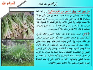 16
‫اهيم‬‫ر‬‫إب‬‫السالم‬ ‫عليه‬‫ءعهللا‬ ‫أنب‬
‫هل‬‫َيوز‬‫أخذ‬‫ور‬‫الشجر‬‫من‬‫احلرم‬‫املكي؟‬‫ليس‬‫ألح‬‫د‬‫أخذ‬
‫ور‬،‫الشجر‬‫والدليل‬‫من‬‫السنة‬‫حديث‬‫جماهد‬‫بن‬‫جرب‬‫املكي‬َّ‫أن‬
َ‫رسول‬ِّ‫هللا‬‫قام‬َ‫يوم‬ِّ‫الفتح‬‫فقال‬:(.................‫ال‬‫نف‬ُ‫ي‬‫ر‬،‫ها‬ُ‫د‬‫صي‬
‫وال‬ُ‫د‬‫يعض‬،‫ها‬ُ‫ك‬‫شو‬‫وال‬‫ىتلى‬،‫خالها‬‫وال‬‫حتل‬‫ه‬ُ‫قطت‬ُ‫ل‬‫ا‬‫إال‬ٍ‫ملنشد‬).‫فقال‬
ُ‫العباس‬:‫إال‬َ‫اإلذخر‬‫اي‬َ‫رسول‬،ِّ‫هللا‬‫فإنه‬‫ال‬‫بد‬‫منه‬‫للقني‬‫وال‬، ِّ‫بيوت‬
‫فسكت‬‫مث‬‫قال‬:(‫إال‬،َ‫اإلذخر‬‫فإنه‬‫حالل‬)(‫صحيح‬‫البخاري‬).
َ‫اإلذخر‬:‫صخرب‬‫بدولة‬،‫ات‬‫ر‬‫االما‬‫حشيش‬،‫انمل‬‫خالل‬‫مأموين‬،
‫سنبل‬،‫عريب‬‫تنب‬‫مهشة‬،‫حلفاير‬،‫حلفا‬،‫مكة‬‫طيب‬‫العر‬،‫ب‬‫اصخرب‬،
‫تنب‬،‫مكة‬‫اد‬‫ر‬‫س‬،‫ويف‬‫اليمن‬‫يعرف‬‫ابسم‬‫حماح‬.‫وهو‬‫نبات‬‫ع‬‫شيب‬
‫حدده‬‫رسول‬‫هللا‬‫بعينه‬.‫يقول‬‫د‬.‫جابر‬‫القحطاين‬:‫إن‬‫نبا‬‫ت‬‫األذخر‬
‫منش‬‫وطارد‬‫ات‬‫ز‬‫للغا‬‫ومضاد‬‫للتقلصات‬‫ومعر‬‫ويفيد‬‫كث‬‫ا‬‫ي‬‫يف‬‫تطبل‬
‫البطن‬‫ويف‬‫التقلصات‬‫املتقطعة‬‫وخاصة‬‫املصاحبة‬‫للت‬،‫ربز‬‫أما‬‫خارجيا‬
‫فيستعمل‬‫كمنف‬‫مضاد‬‫للروماتيزم‬‫واآلالم‬،‫القطنية‬‫وي‬‫ستخدم‬‫يف‬
‫صناعة‬‫العطور‬‫والصابون‬.‫كما‬‫أن‬‫لاذخر‬‫أتثي‬‫يف‬‫عدم‬‫ان‬‫ضباط‬
‫الدورة‬،‫ية‬‫ر‬‫الشه‬‫ومفيد‬‫جدا‬‫حلاالت‬‫املغص‬‫لاطفال‬.
 