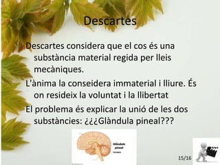 Descartes
Descartes considera que el cos és una
substància material regida per lleis
mecàniques.
L'ànima la conseidera immaterial i lliure. És
on resideix la voluntat i la llibertat
El problema és explicar la unió de les dos
substàncies: ¿¿¿Glàndula pineal???
15/16
 