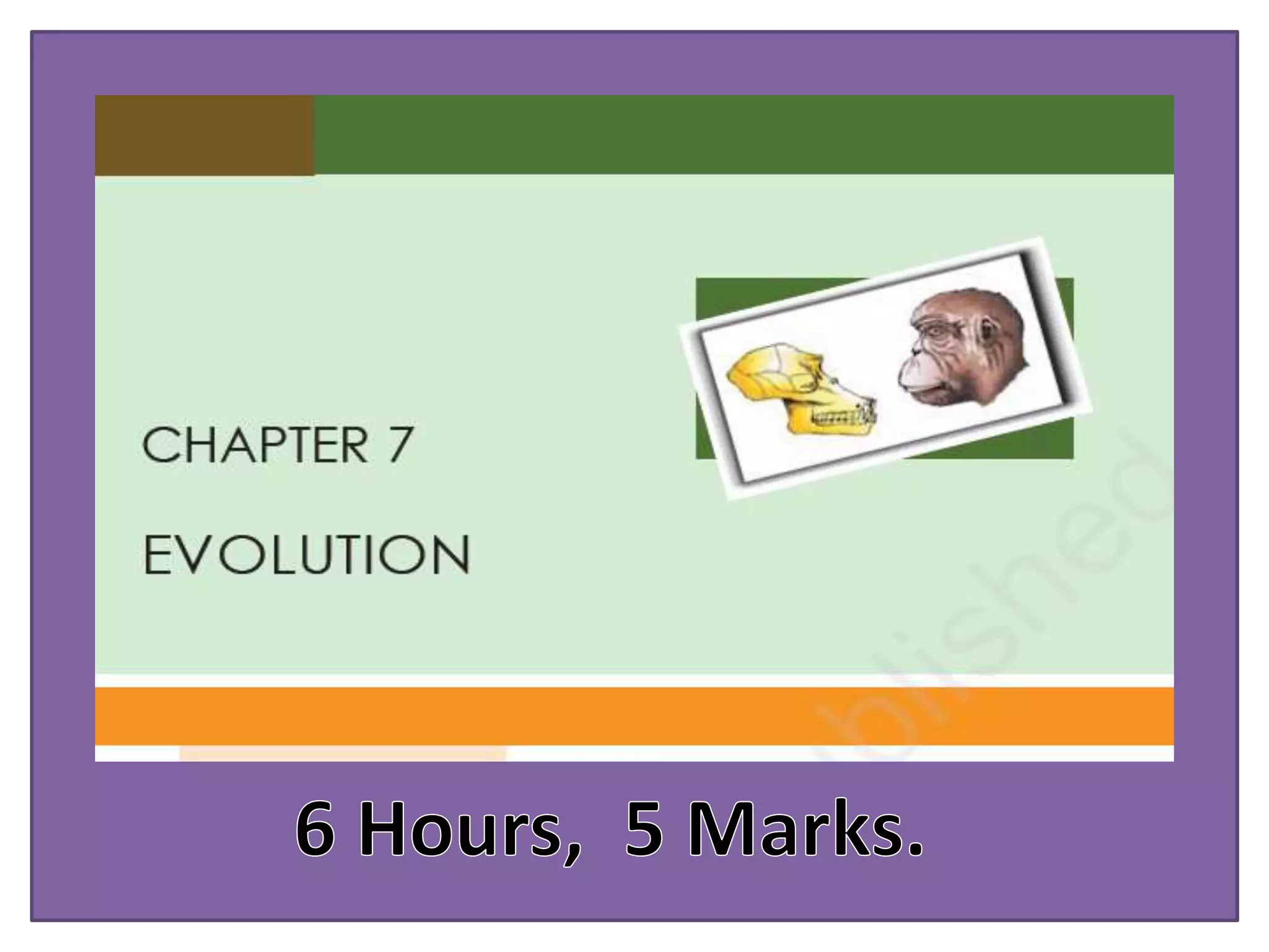 The Evolution Of "Pu**To": From Insult To Slang - 95flj7k