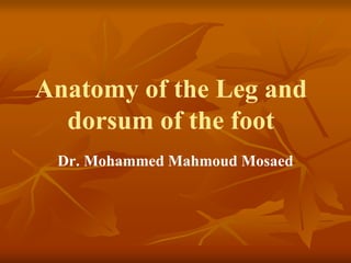 Anatomy of the Leg and
dorsum of the foot
Dr. Mohammed Mahmoud Mosaed
 