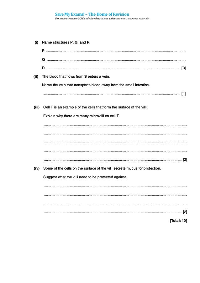 human nutrition theory-qp