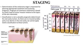 oral pigmented lesions | PPTX