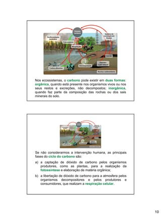 10
Nos ecossistemas, o carbono pode existir em duas formas:
orgânica, quando está presente nos organismos vivos ou nos
seus restos e excreções, não decompostos; inorgânica,
quando faz parte da composição das rochas ou dos sais
minerais do solo.
Se não considerarmos a intervenção humana, as principais
fases do ciclo do carbono são:
a) a captação de dióxido de carbono pelos organismos
produtores, como as plantas, para a realização da
fotossíntese e elaboração de matéria orgânica;
b) a libertação de dióxido de carbono para a atmosfera pelos
organismos decompositores e pelos produtores e
consumidores, que realizam a respiração celular.
 
