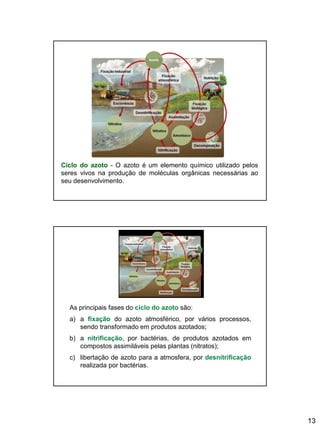 13
Ciclo do azoto - O azoto é um elemento químico utilizado pelos
seres vivos na produção de moléculas orgânicas necessárias ao
seu desenvolvimento.
As principais fases do ciclo do azoto são:
a) a fixação do azoto atmosférico, por vários processos,
sendo transformado em produtos azotados;
b) a nitrificação, por bactérias, de produtos azotados em
compostos assimiláveis pelas plantas (nitratos);
c) libertação de azoto para a atmosfera, por desnitrificação
realizada por bactérias.
 