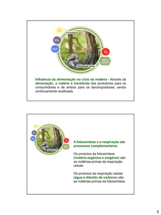 5
Influência da alimentação no ciclo da matéria - Através da
alimentação, a matéria é transferida dos produtores para os
consumidores e de ambos para os decompositores, sendo
continuamente reutilizada.
H1
A fotossíntese e a respiração são
processos complementares.
Os produtos da fotossíntese
(matéria orgânica e oxigénio) são
as matérias-primas da respiração
celular.
Os produtos da respiração celular
(água e dióxido de carbono) são
as matérias-primas da fotossíntese.
 