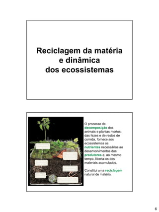 6
Reciclagem da matéria
e dinâmica
dos ecossistemas
O processo de
decomposição dos
animais e plantas mortos,
das fezes e de restos de
comida, fornece aos
ecossistemas os
nutrientes necessários ao
desenvolvimentos dos
produtores e, ao mesmo
tempo, liberta-os dos
materiais acumulados.
Constitui uma reciclagem
natural de matéria.
Restos
de plantas
e de animais
Fragmentação
de detritos
Decomposição
da matéria orgânica
Sais
minerais
Absorção
pelas raízes
Formação de
novos tecidos
 