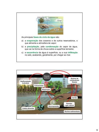 9
As principais fases do ciclo da água são:
a) a evaporação dos oceanos e de outros reservatórios, o
que alimenta a atmosfera de vapor;
b) a precipitação, pela condensação do vapor de água,
que cai na forma de chuva sobre a superfície terrestre;
c) a escorrência da água à superfície, ou a sua infiltração
no solo, acabando, geralmente, por chegar ao mar.
Desflorestação
Incêndios
Rochas sedimentares
Cadeia alimentar
Dióxido
carbono
Decomposição
Fotossíntese
Carvão
Petróleo
e gás natural
Queima de
combustíveis
fósseis
Respiração
 