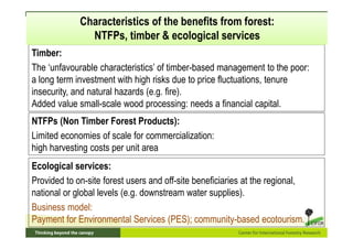 Fostering the social forestry program: Inclusive business models (IBMs) in community-based wood & NTFP-based production