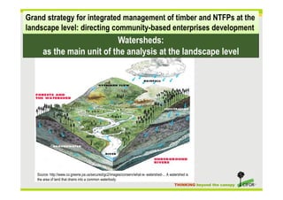 Fostering the social forestry program: Inclusive business models (IBMs) in community-based wood & NTFP-based production