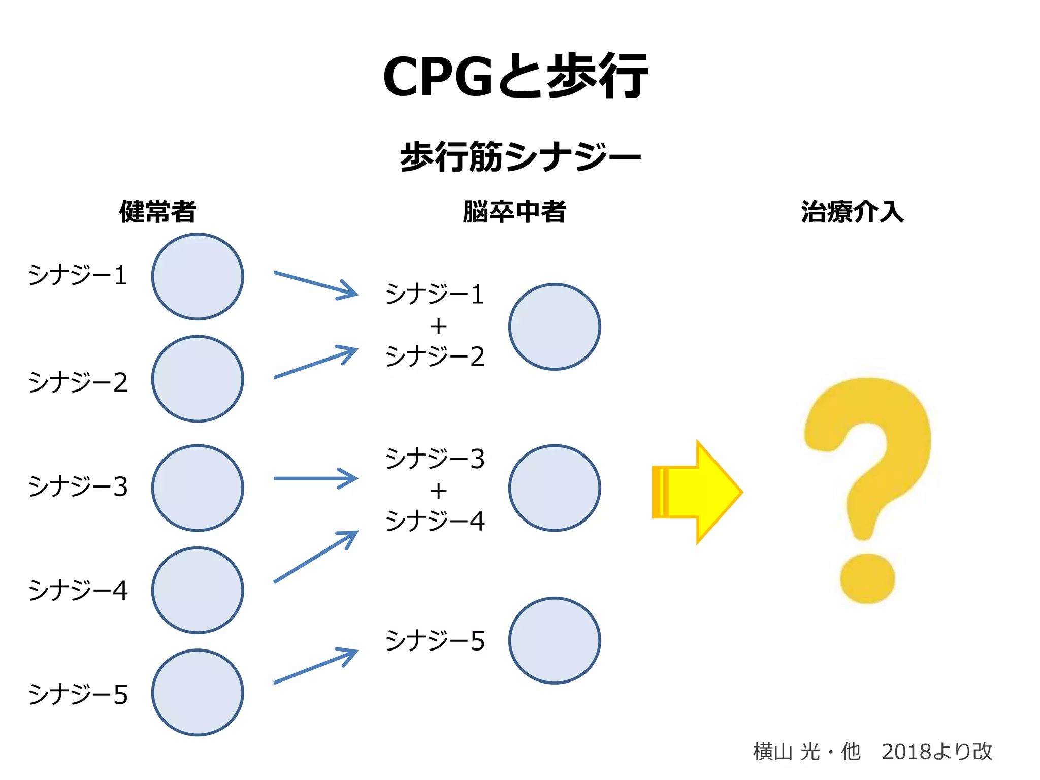 歩行筋シナジー
シナジー1
シナジー2
シナジー3
シナジー4
シナジー5
健常者
シナジー1
＋
シナジー2
シナジー3
＋
シナジー4
シナジー5
脳卒中者 治療介入
横山 光・他 2018より改
CPGと歩行
 