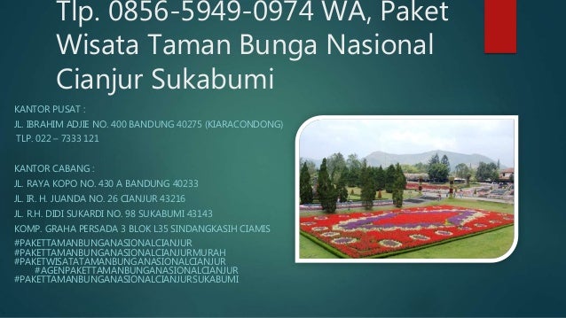 7 Tlp 0856 5949 0974 Wa Paket Wisata Taman Bunga Nasional 7 Tlp 0856 5949 0974 Wa Paket Wisata Taman Bunga Nasional