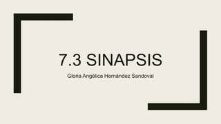 7.3 SINAPSIS
Gloria Angélica Hernández Sandoval
 