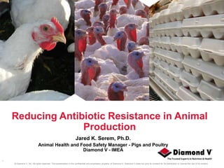 © Diamond V, Inc. All rights reserved. This presentation is the confidential and proprietary property of Diamond V. Diamond V does not give its consent for its distribution or license the use of its content.
Reducing Antibiotic Resistance in Animal
Production
Jared K. Serem, Ph.D.
Animal Health and Food Safety Manager - Pigs and Poultry
Diamond V - IMEA
1
 