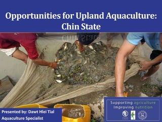 Opportunities for Upland Aquaculture:
Chin State
Presented by: Dawt Hlei Tial
Aquaculture Specialist
 