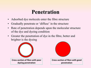 Penetration
• Adsorbed dye molecule enter the fibre structure
• Gradually penetrate or ‘diffuse’ in the structure
• Rate of penetration depends upon the molecular structure
of the dye and dyeing condition
• Greater the penetration of dye in the fibre, better and
brighter is the dyeing
Cross section of fibre with poor
dyeing penetration
Cross section of fibre with good
penetration
 
