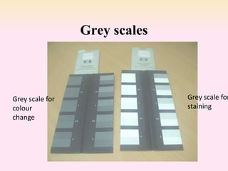 Grey scales
Grey scale for
colour
change
Grey scale for
staining
 