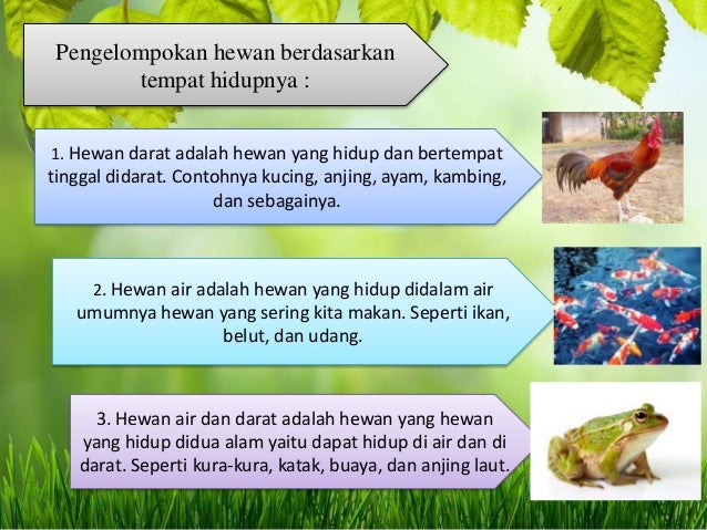 7 Benda Hidup Dan Benda Tak Hidup Wahyuni 16141230