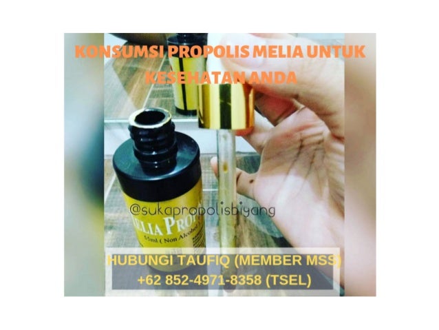 + 62 85249718358 (Tsel) Khasiat Propolis Melia Gold