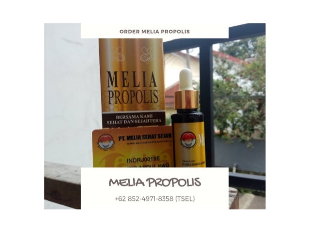 + 62 85249718358 (Tsel) Khasiat Propolis Melia Gold