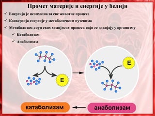 Промет материје и енергије у ћелији
 Енергија је неопходна за све животне процесе
 Конверзија енергије у метаболичким путевима
 Метаболизам-скуп свих хемијских процеса који се одвијају у организму
 Катаболизам
 Анаболизам
 