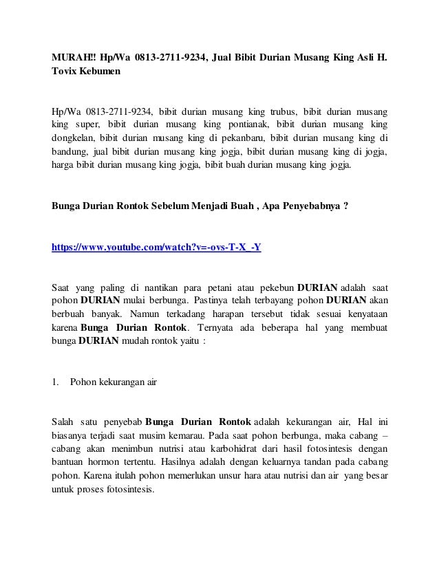 Murah Hp Wa 0813 2711 9234 Jual Bibit Durian Musang King Asli H