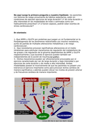 De aquí surge la primera pregunta a nuestra hipótesis: los pacientes
con factores de riesgo proveniente de hábitos sedentarios, están en
condiciones de ejecutar ejercicios de larga duración? ¿Y de corta duración a
alta intensidad en las modalidades de trote o caminatas como son
habitualmente prescritos? ¿Y si fueran capaces, podrán estar exentos de
stress cardiovascular?
En sisntesis:
1.-Que AMPK y GLUT4 son proteínas que juegan un rol fundamental en la
fisiopatogenesis de los fenómenos relacionados con insulino resistencia,
punto de partida de múltiples alteraciones metabólicas y de riesgo
cardiovascular.
2.- Que necesitamos provocar significativas alteraciones en el medio
intracelular para estimular mecanismos de regulación del metabolismo de
las grasas y de regulación de la glicemia dependientes de AMPK y GLUT4
respectivamente y que durante el ejercicio pueden también ser
independientes de la acción de insulina.(ver grafico).
3.- Dichos mecanismos pueden ser eficientemente provocados por el
ejercicio caracterizado por ser de larga duración y baja intensidad o por
ejercicios de corta duración y de media a alta intensidad. Ambas
modalidades poseen el inconveniente de que los pacientes no poseen una
tolerancia al ejercicio importante como para provocar dichos cambios de
manera significativa y además pueden elevar los niveles de presión arterial
y de frecuencia cardiaca de manera importante.
Insulina
receptor
GLUT4
Senal
independiente
de PI-3K
IRS
PI-3K
PDK
Akt
PKC
Ejercicio
AMPK***
Senal
independiente
de AMPK
A.Krook, 2004. Med. Sc. Sport Exer. Modif. C. Saavedra
pH, T, Hipoxia, C/ PC, Ca,
ATP/ADP, Glicogeno
GLUCOGENO
GLUCOSA
 