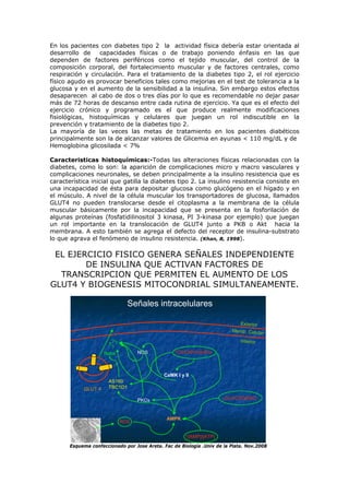 En los pacientes con diabetes tipo 2 la actividad física debería estar orientada al
desarrollo de capacidades físicas o de trabajo poniendo énfasis en las que
dependen de factores periféricos como el tejido muscular, del control de la
composición corporal, del fortalecimiento muscular y de factores centrales, como
respiración y circulación. Para el tratamiento de la diabetes tipo 2, el rol ejercicio
físico agudo es provocar beneficios tales como mejorias en el test de tolerancia a la
glucosa y en el aumento de la sensibilidad a la insulina. Sin embargo estos efectos
desaparecen al cabo de dos o tres días por lo que es recomendable no dejar pasar
más de 72 horas de descanso entre cada rutina de ejercicio. Ya que es el efecto del
ejercicio crónico y programado es el que produce realmente modificaciones
fisiológicas, histoquímicas y celulares que juegan un rol indiscutible en la
prevención y tratamiento de la diabetes tipo 2.
La mayoría de las veces las metas de tratamiento en los pacientes diabéticos
principalmente son la de alcanzar valores de Glicemia en ayunas < 110 mg/dL y de
Hemoglobina glicosilada < 7%
Caracteristicas histoquímicas:-Todas las alteraciones físicas relacionadas con la
diabetes, como lo son: la aparición de complicaciones micro y macro vasculares y
complicaciones neuronales, se deben principalmente a la insulino resistencia que es
característica inicial que gatilla la diabetes tipo 2. La insulino resistencia consiste en
una incapacidad de ésta para depositar glucosa como glucógeno en el hígado y en
el músculo. A nivel de la célula muscular los transportadores de glucosa, llamados
GLUT4 no pueden translocarse desde el citoplasma a la membrana de la célula
muscular básicamente por la incapacidad que se presenta en la fosforilación de
algunas proteínas (fosfatidilinositol 3 kinasa, PI 3-kinasa por ejemplo) que juegan
un rol importante en la translocación de GLUT4 junto a PKB o Akt hacia la
membrana. A esto también se agrega el defecto del receptor de insulina-substrato
lo que agrava el fenómeno de insulino resistencia. (Khan, B, 1998).
EL EJERCICIO FISICO GENERA SEÑALES INDEPENDIENTE
DE INSULINA QUE ACTIVAN FACTORES DE
TRANSCRIPCION QUE PERMITEN EL AUMENTO DE LOS
GLUT4 Y BIOGENESIS MITOCONDRIAL SIMULTANEAMENTE.
Señales intracelulares
GLUT 4
↑[AMP]/[ATP]
↑Ca/Calmodulina
ROS
↓GLUCÓGENO
CaMK I y II
Rabs
?
?
?
?
AS160
TBC1D1
AMPK
NOS
PKCs
Memb. Celular
Exterior
Interior
Esquema confeccionado por Jose Areta. Fac de Biología .Univ de la Plata. Nov.2008
 