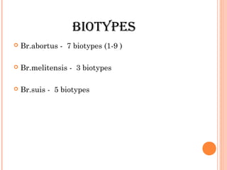 BIOTYPES
 Br.abortus - 7 biotypes (1-9 )
 Br.melitensis - 3 biotypes
 Br.suis - 5 biotypes
 