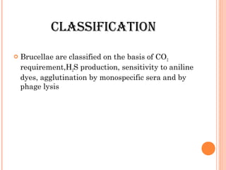 CLASSIFICATION
 Brucellae are classified on the basis of CO2
requirement,H2S production, sensitivity to aniline
dyes, agglutination by monospecific sera and by
phage lysis
 