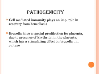 PATHOGENICITY
 Cell mediated immunity plays an imp. role in
recovery from brucellosis
 Brucella have a special predilection for placenta,
due to presence of Erythritol in the placenta,
which has a stimulating effect on brucella , in
culture
 
