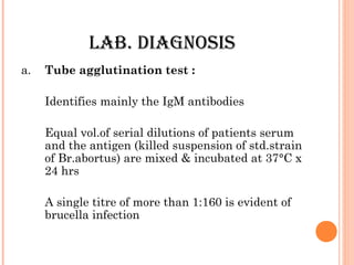LAB. DIAGNOSIS
a. Tube agglutination test :
Identifies mainly the IgM antibodies
Equal vol.of serial dilutions of patients serum
and the antigen (killed suspension of std.strain
of Br.abortus) are mixed & incubated at 37°C x
24 hrs
A single titre of more than 1:160 is evident of
brucella infection
 
