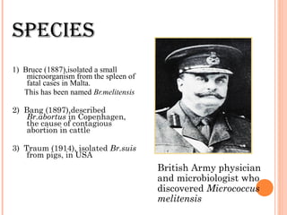 sPECiEs
1) Bruce (1887),isolated a small
microorganism from the spleen of
fatal cases in Malta.
This has been named Br.melitensis
2) Bang (1897),described
Br.abortus in Copenhagen,
the cause of contagious
abortion in cattle
3) Traum (1914), isolated Br.suis
from pigs, in USA
British Army physician
and microbiologist who
discovered Micrococcus
melitensis
 