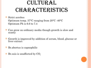 CULtURAL
ChARACtERistiCs
 Strict aerobes
Optimum temp. 37°C ranging from 20°C -40°C
Optimum Ph is 6.6 to 7.4
 Can grow on ordinary media though growth is slow and
scanty
 Growth is improved by addition of serum, blood, glucose or
liver extract
 Br.abortus is capnophilic
 Br.suis is unaffected by CO2
 