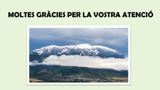 MOLTES GRÀCIES PER LA VOSTRA ATENCIÓ
 