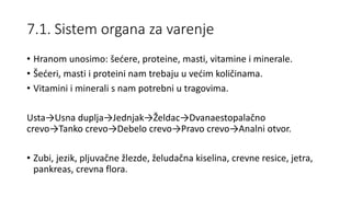 7.1. Sistem organa za varenje
• Hranom unosimo: šećere, proteine, masti, vitamine i minerale.
• Šećeri, masti i proteini nam trebaju u većim količinama.
• Vitamini i minerali s nam potrebni u tragovima.
Usta→Usna duplja→Jednjak→Želdac→Dvanaestopalačno
crevo→Tanko crevo→Debelo crevo→Pravo crevo→Analni otvor.
• Zubi, jezik, pljuvačne žlezde, želudačna kiselina, crevne resice, jetra,
pankreas, crevna flora.
 
