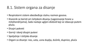 8.1. Sistem organa za disanje
• Respiratorni sistem obezbeđuje stalnu razmen gasova.
• Kiseonik se koristi pri ćelijskom disanju (sagorevanje hrane u
mitohondrijama), tada nastaje ugljen-dioksid koji se izbacuje putem
pluća.
• Disajni pokreti
• Gornji i donji disajni putevi
• Spoljašnje i ćelijsko disanje
• Organi za disanje: nos, usta, usna duplja, dušnik, dupnice, pluća
 