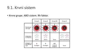 9.1. Krvni sistem
• Krvne grupe. ABO sistem. Rh faktor.
 