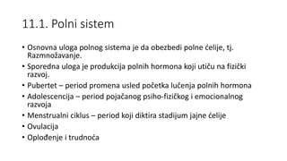 11.1. Polni sistem
• Osnovna uloga polnog sistema je da obezbedi polne ćelije, tj.
Razmnožavanje.
• Sporedna uloga je produkcija polnih hormona koji utiču na fizički
razvoj.
• Pubertet – period promena usled početka lučenja polnih hormona
• Adolescencija – period pojačanog psiho-fizičkog i emocionalnog
razvoja
• Menstrualni ciklus – period koji diktira stadijum jajne ćelije
• Ovulacija
• Oplođenje i trudnoća
 