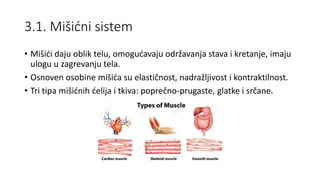 3.1. Mišićni sistem
• Mišići daju oblik telu, omogućavaju održavanja stava i kretanje, imaju
ulogu u zagrevanju tela.
• Osnoven osobine mišića su elastičnost, nadražljivost i kontraktilnost.
• Tri tipa mišićnih ćelija i tkiva: poprečno-prugaste, glatke i srčane.
 