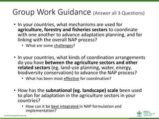 Group Work Guidance (Answer all 3 Questions)
• In your countries, what mechanisms are used for
agriculture, forestry and fisheries sectors to coordinate
with one another to advance adaptation planning, and for
linking with the overall NAP process?
• What are some challenges?
• In your countries, what kinds of coordination arrangements
do you have between the agriculture sectors and other
related sectors (eg. land-use planning, water, energy,
biodiversity conservation) to advance the NAP process?
• What has been most effective for coordination?
• How has the subnational (eg. landscape) scale been used
to plan for adaptation in the agriculture sectors in your
countries?
• How can it be best integrated in NAP formulation and
implementation?
 