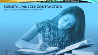 7. muscle contraction lecture 2 | PPTX