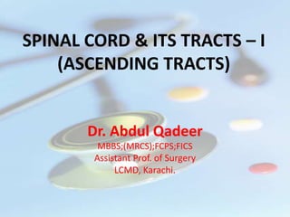 SPINAL CORD & ITS TRACTS – I
(ASCENDING TRACTS)
Dr. Abdul Qadeer
MBBS;(MRCS);FCPS;FICS
Assistant Prof. of Surgery
LCMD, Karachi.
 