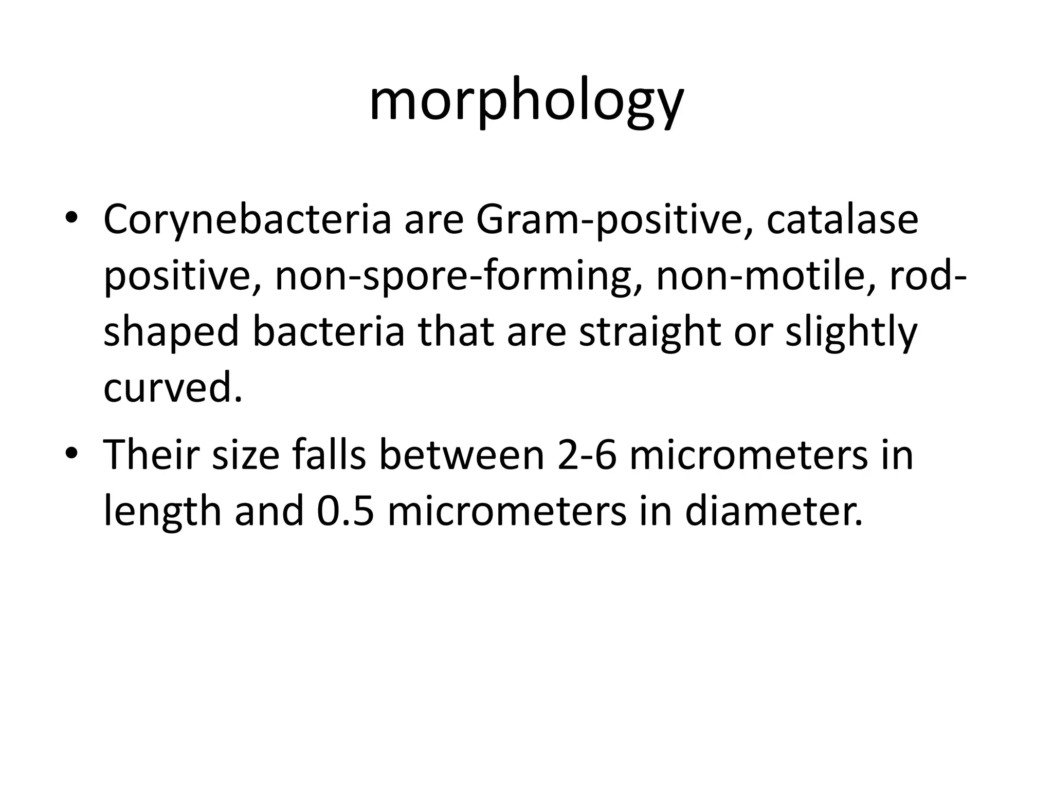 7. coryne bacterium | PPTX