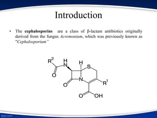 Introduction
• The cephalosporins are a class of β-lactam antibiotics originally
derived from the fungus Acremonium, which was previously known as
"Cephalosporium”
 