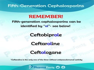 Cephalosporins