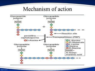 Mechanism of action
 