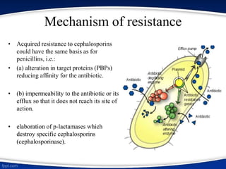Mechanism of resistance
• Acquired resistance to cephalosporins
could have the same basis as for
penicillins, i.e.:
• (a) alteration in target proteins (PBPs)
reducing affinity for the antibiotic.
• (b) impermeability to the antibiotic or its
efflux so that it does not reach its site of
action.
• elaboration of p-lactamases which
destroy specific cephalosporins
(cephalosporinase).
 