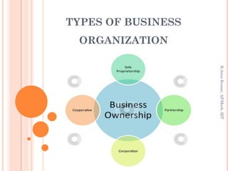 Businesses And Organizations